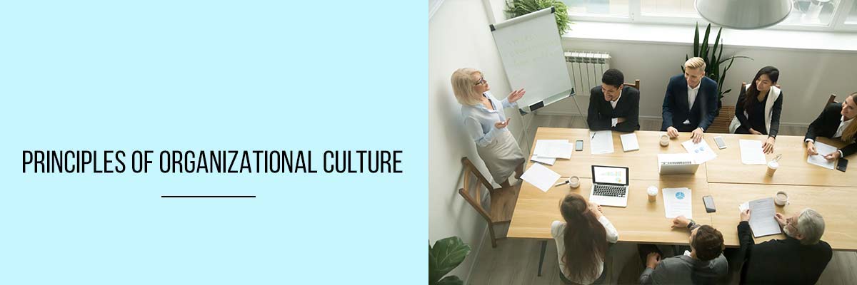 An Organization s Culture And Principles Of
